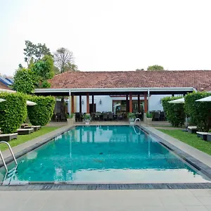 https://swanee-grand.negombohotels.net
